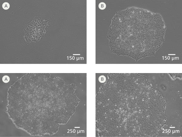 CloneR | 製品情報 | ベリタス